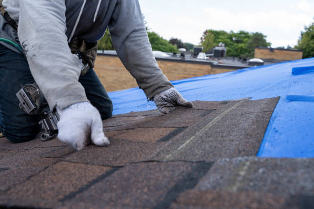 Roof Insulation